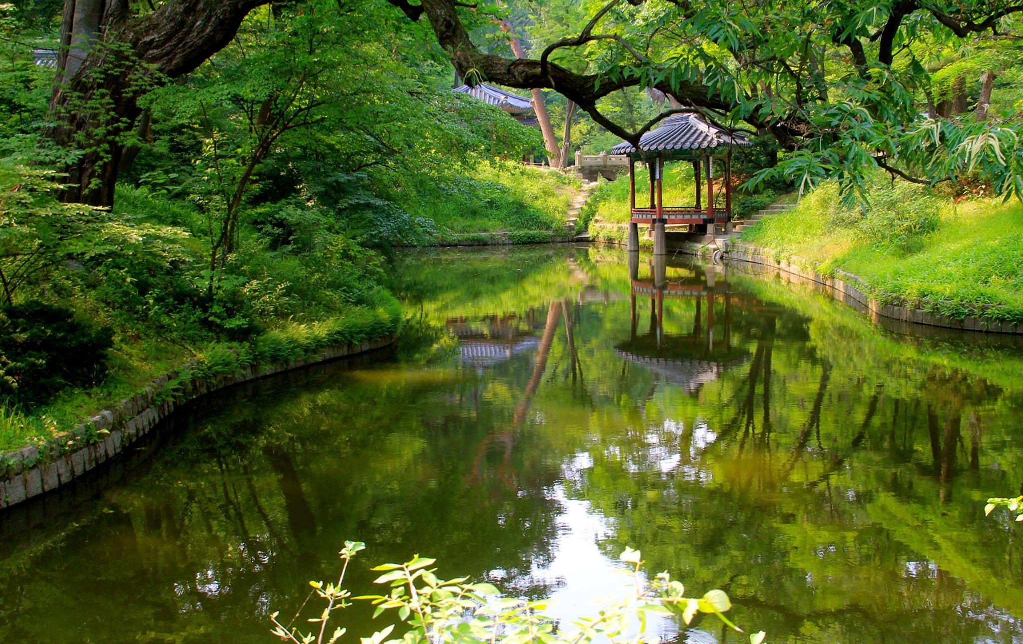 A wooden pavilion above a green stream in the wooded Secret Garden at Changdeokgung