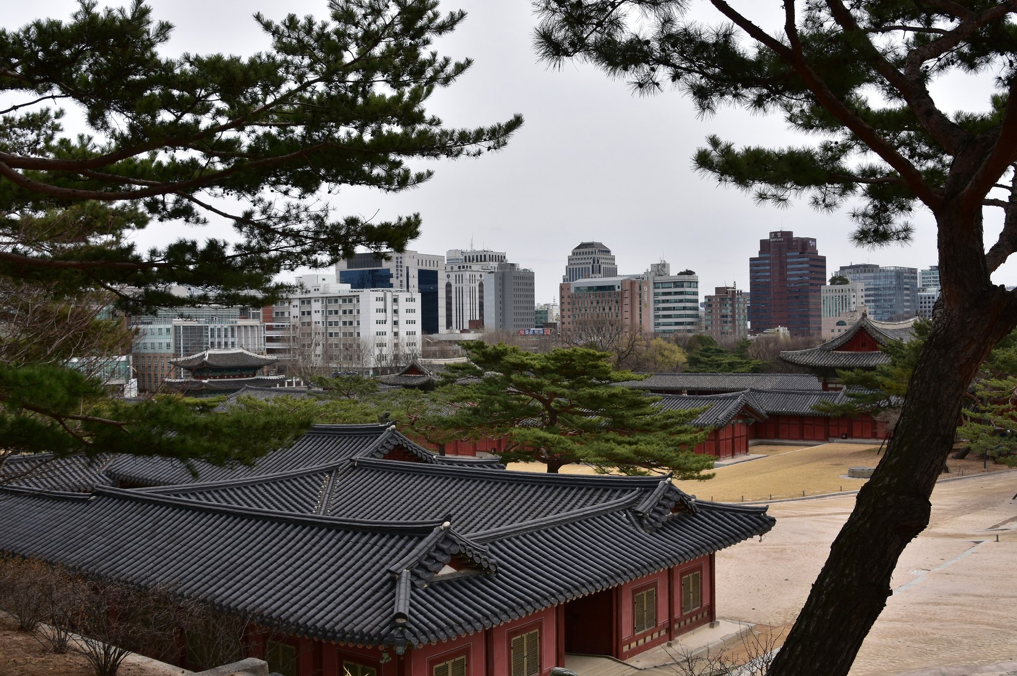 The tiled roofs of Changgyeonggung with office towers of central Seoul rising behind