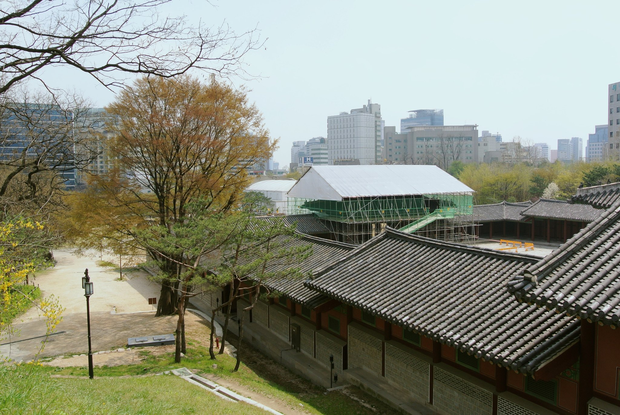 Gyeonghuigung's tiled roofs with autumn trees and modern Seoul buildings behind